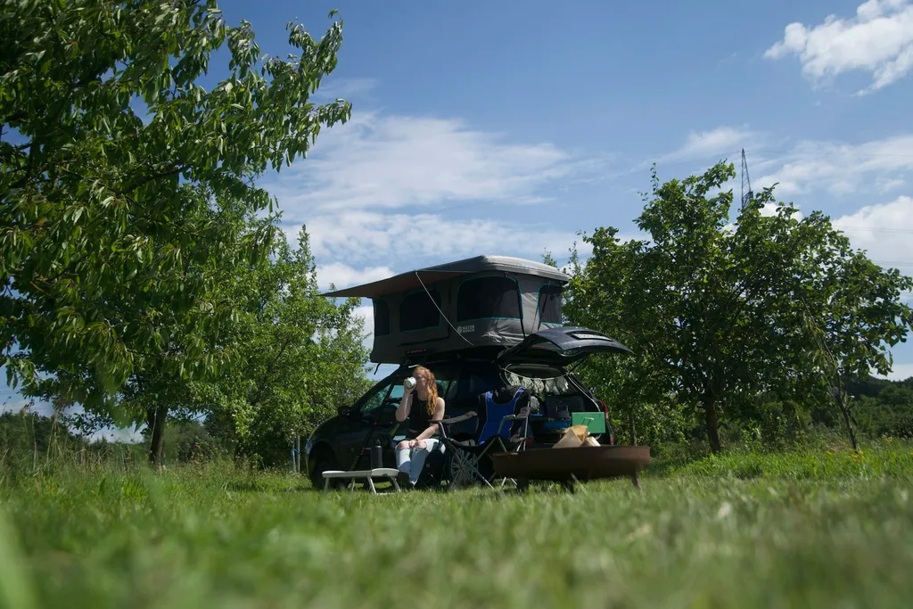 Obstgarten, Wiese Licht/Schatten