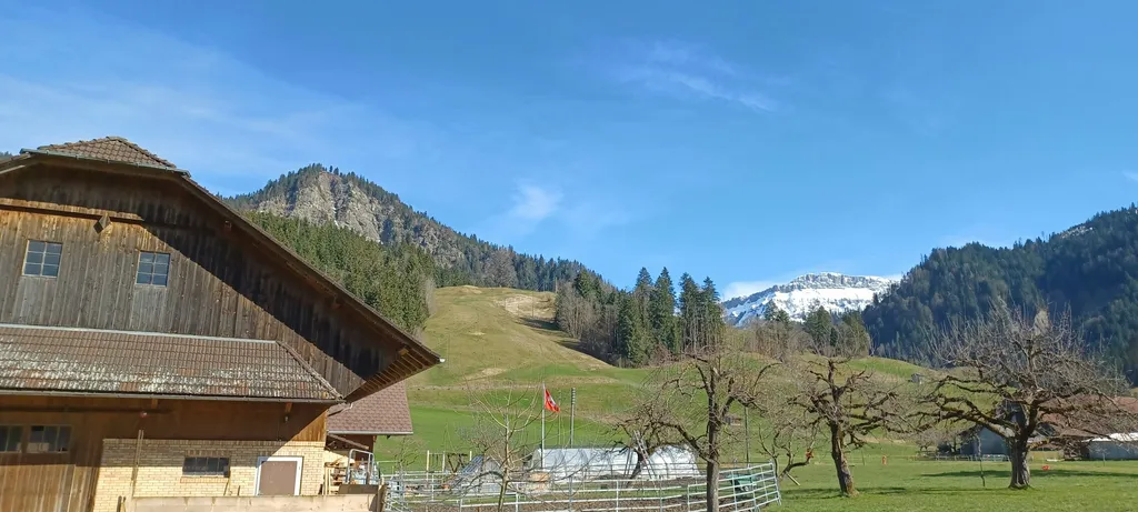 Zwischen Bach und Bauernhof.