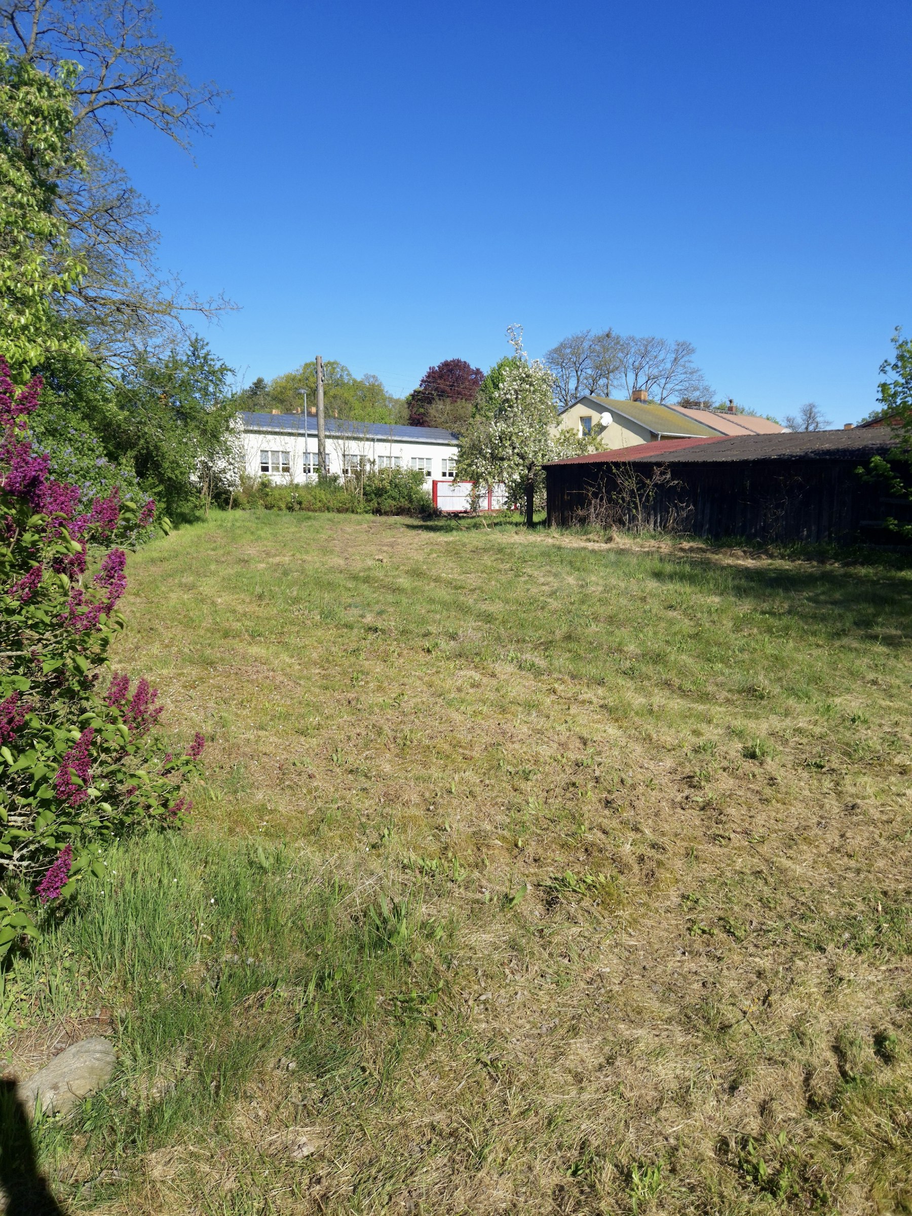 Loppis Camping Wiese Bronkow