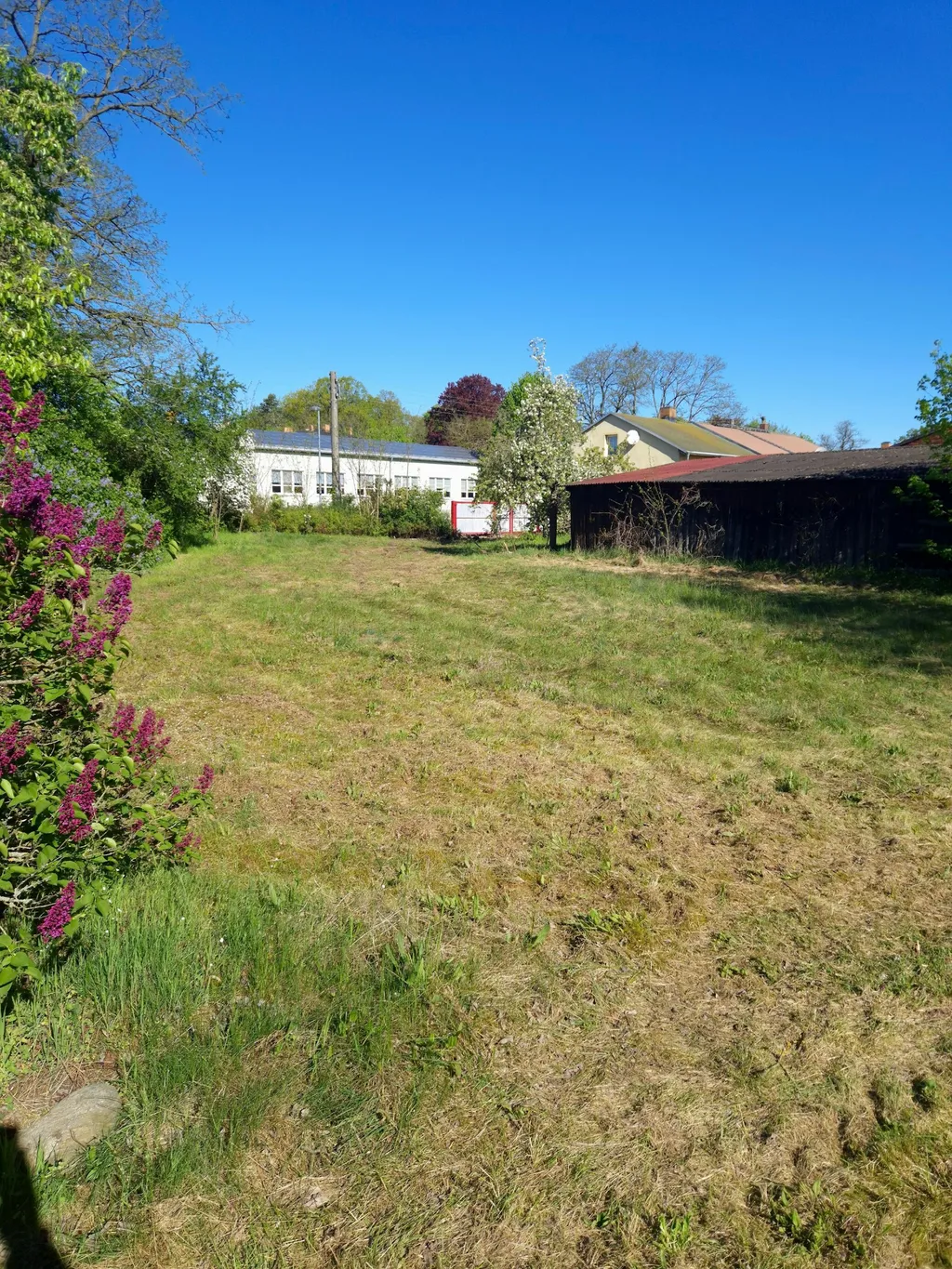 Loppis Camping Wiese Bronkow