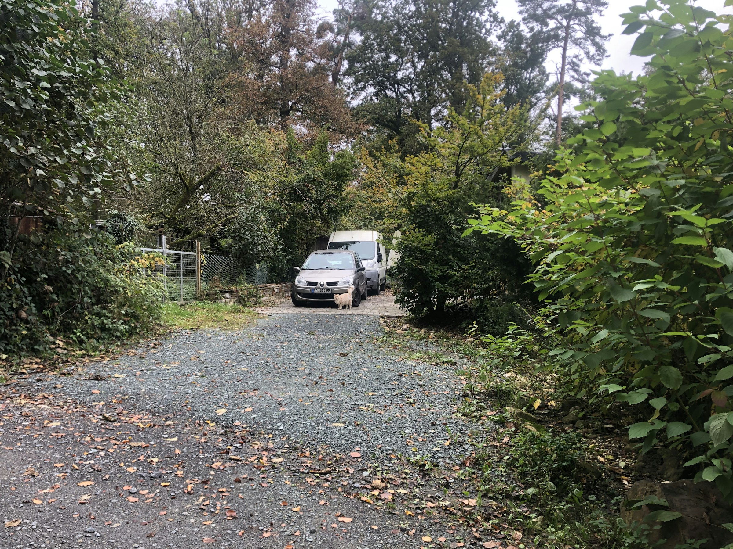 Haus Quelle Hinterhof im Taunuswald