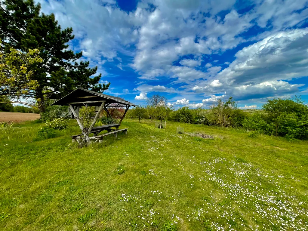 Aprikosenhain Camping