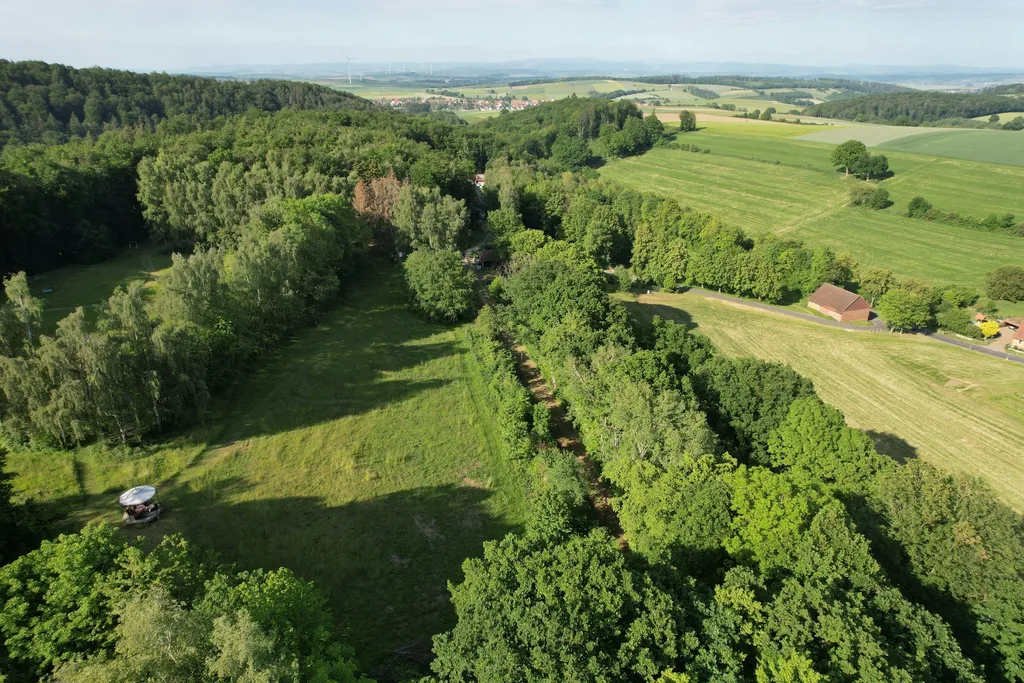 Bienengesumme in Alleinlage