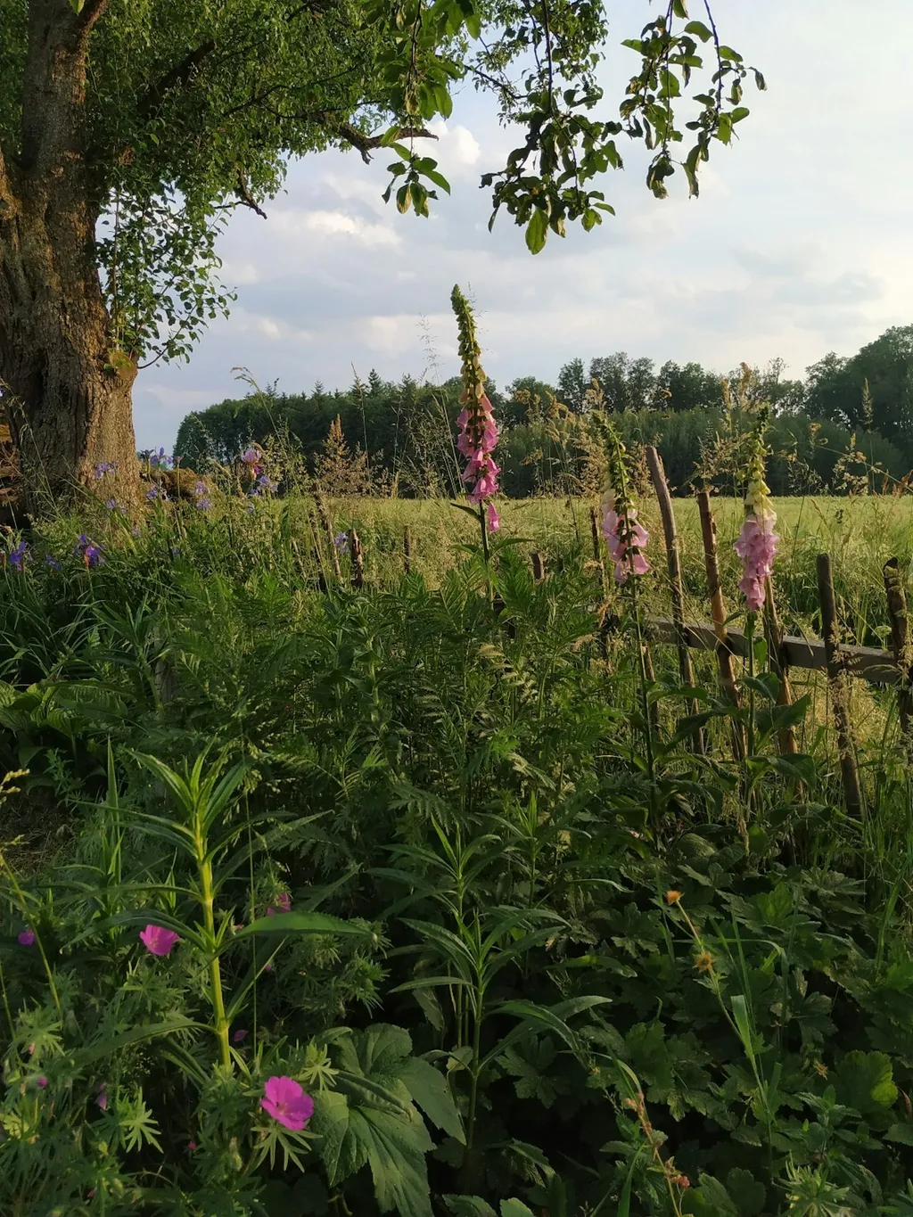 Camp für Gartenliebhaber