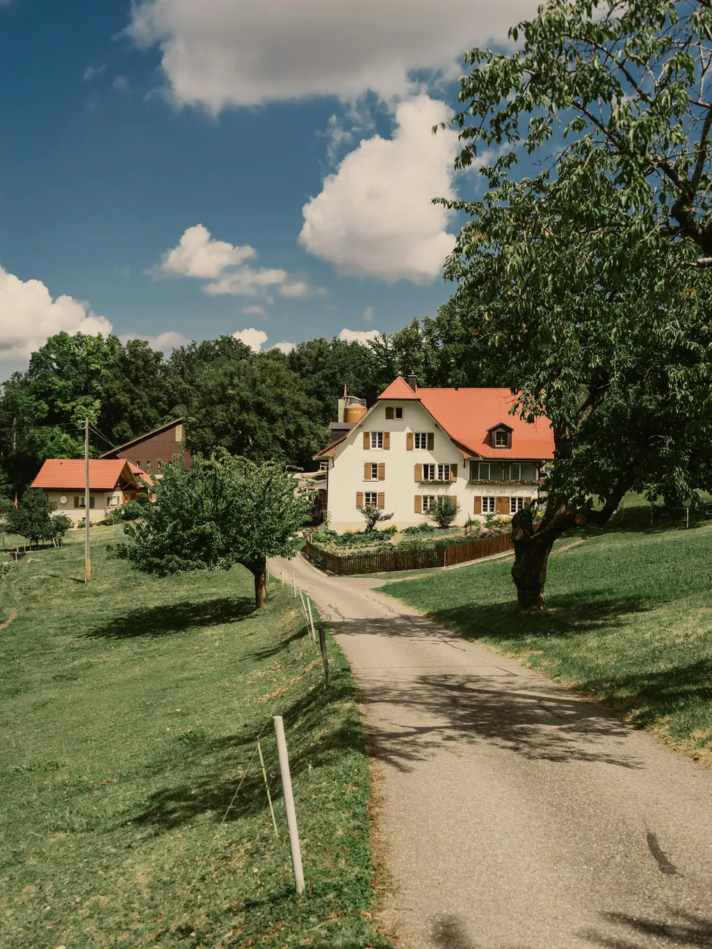 Landoase