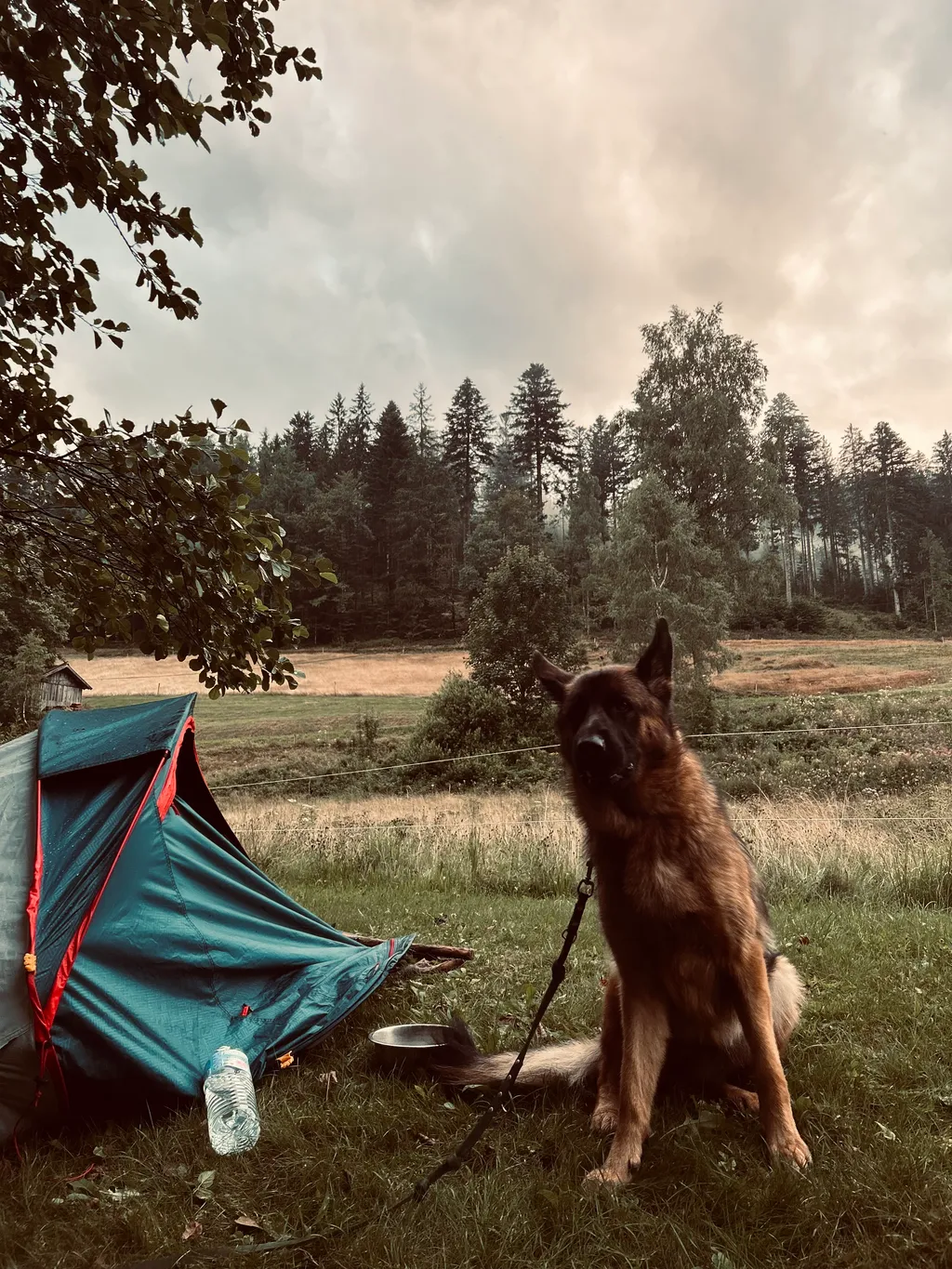 Bild von Kevin für den Spot 4307