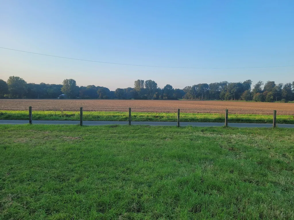 Stellplatz bei den Hochlandrindern