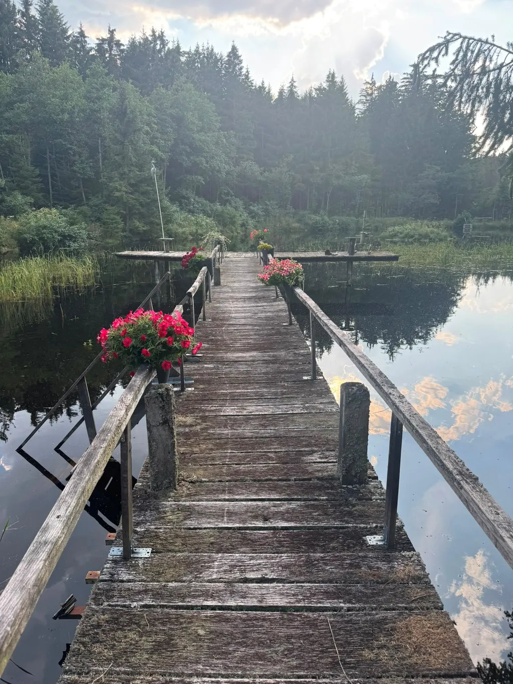 Campen am alten Fischteich