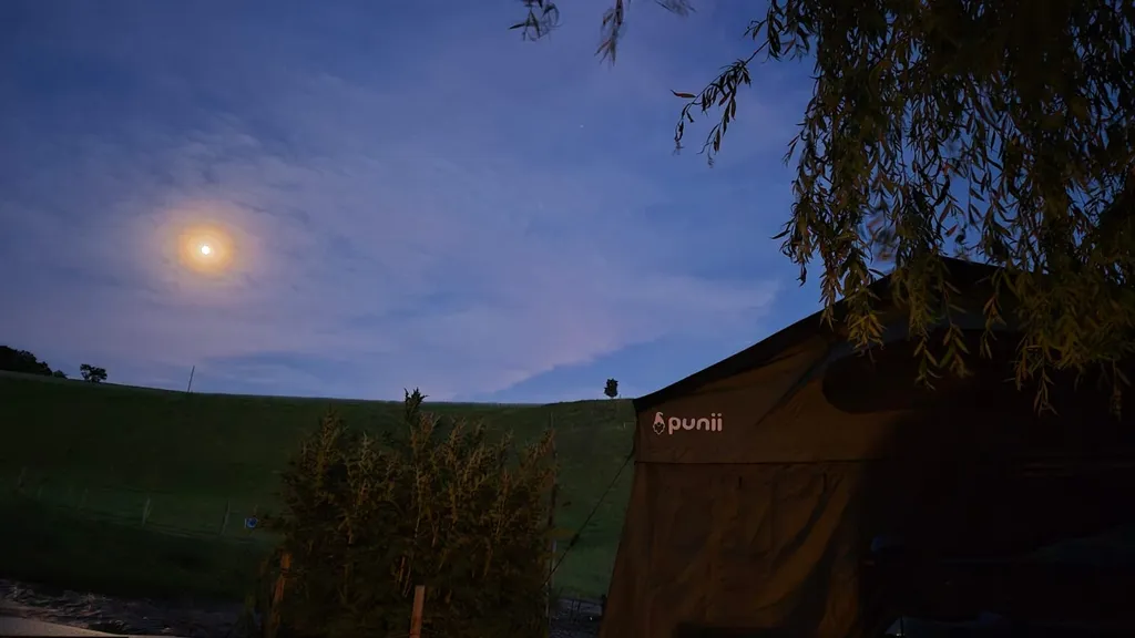 Bild von Susanne für den Spot 1259