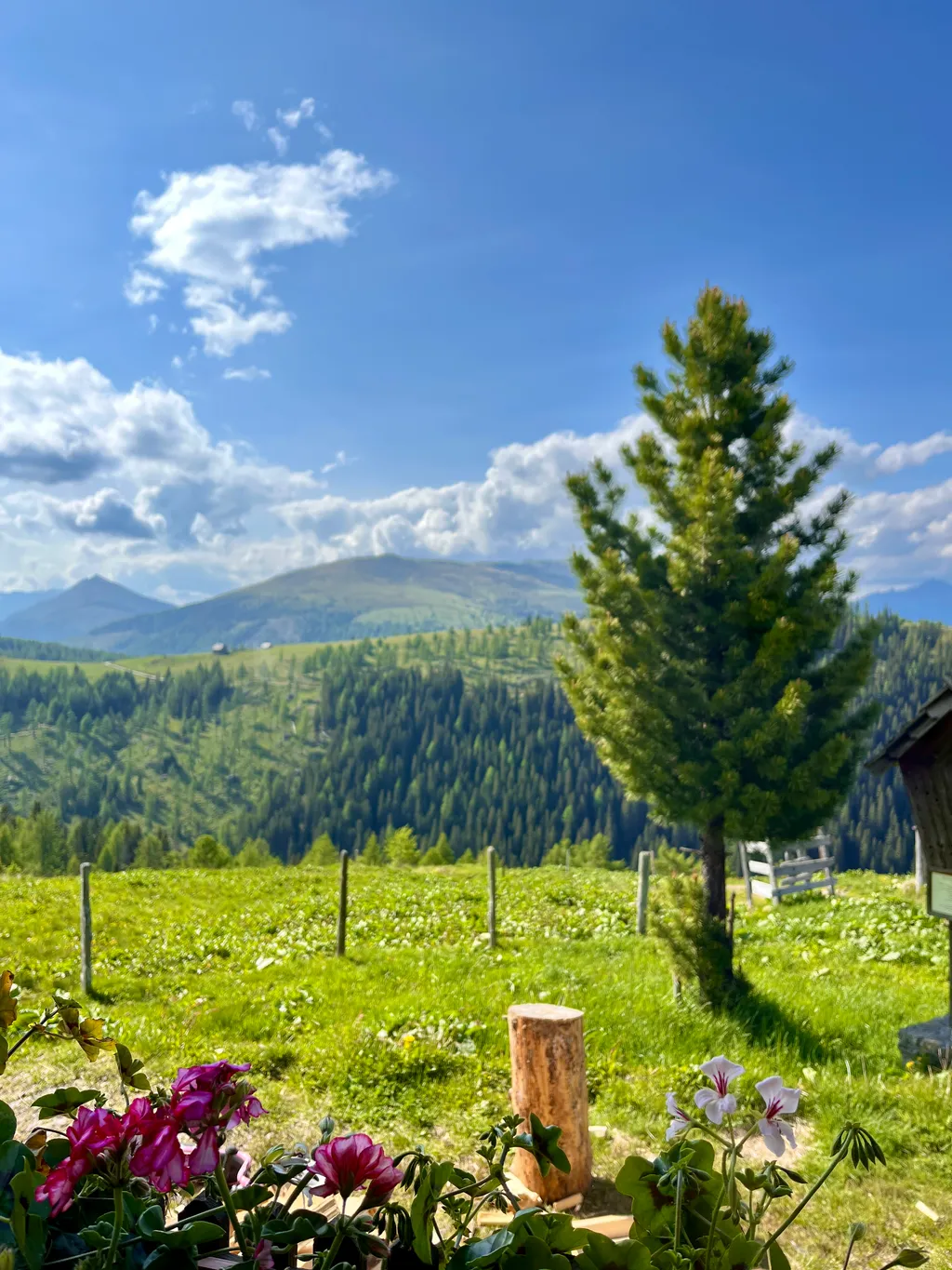 Almhütte auf 1.836m / Der Stille lauschen