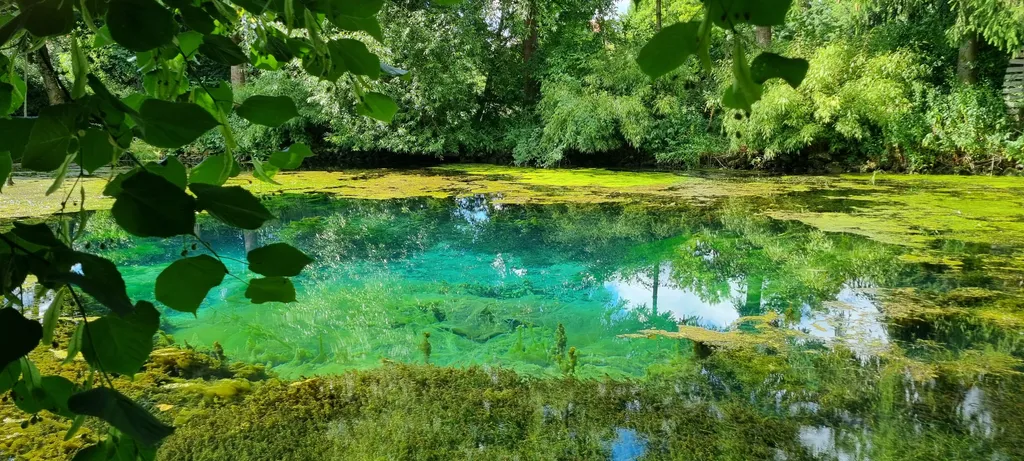 Bild von Diane für den Spot 3436
