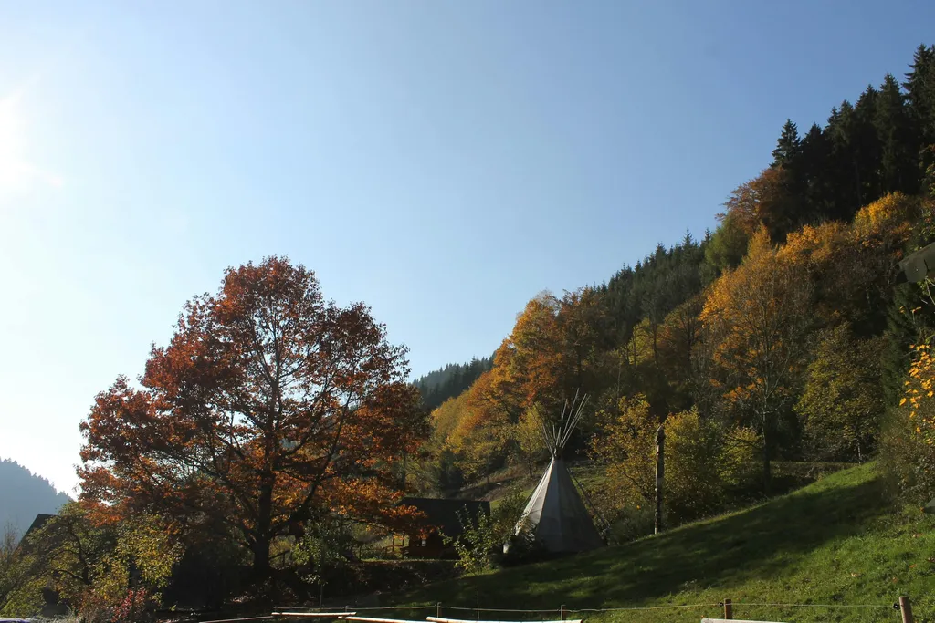 Tipizelt am Schwarzwaldhof