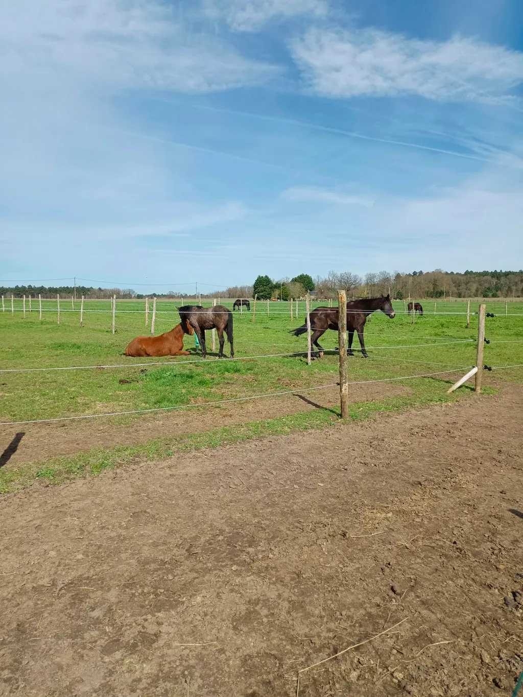 Ein Platz im Grünen