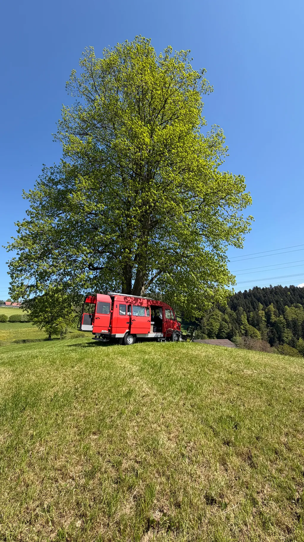 Bild von Luca für den Spot 4247