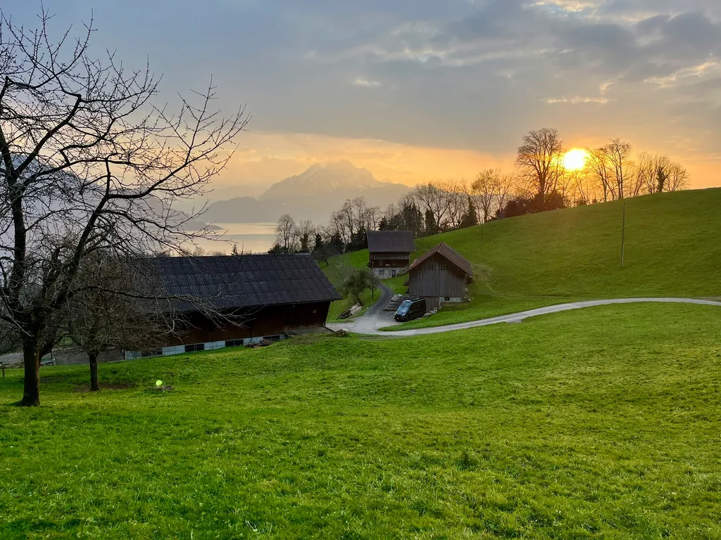Aussicht auf Alpen & Vierwaldstättersee in Weggis