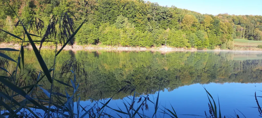 Platz in exklusiver Alleinlage auf dem Eichelberg