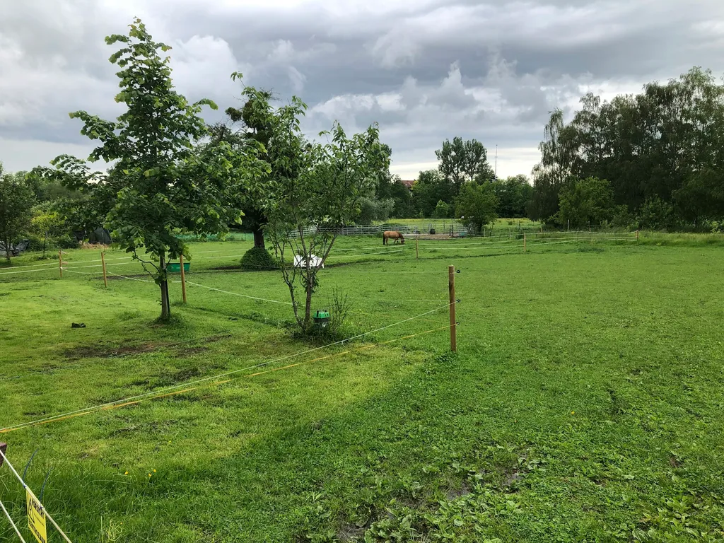 Schöner Platz, mit Pferden.