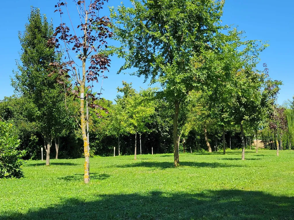 Agricampeggio Pini in Fiore