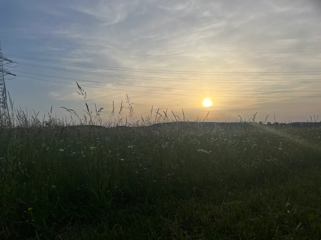 Bild von Mägi für den Spot 1602
