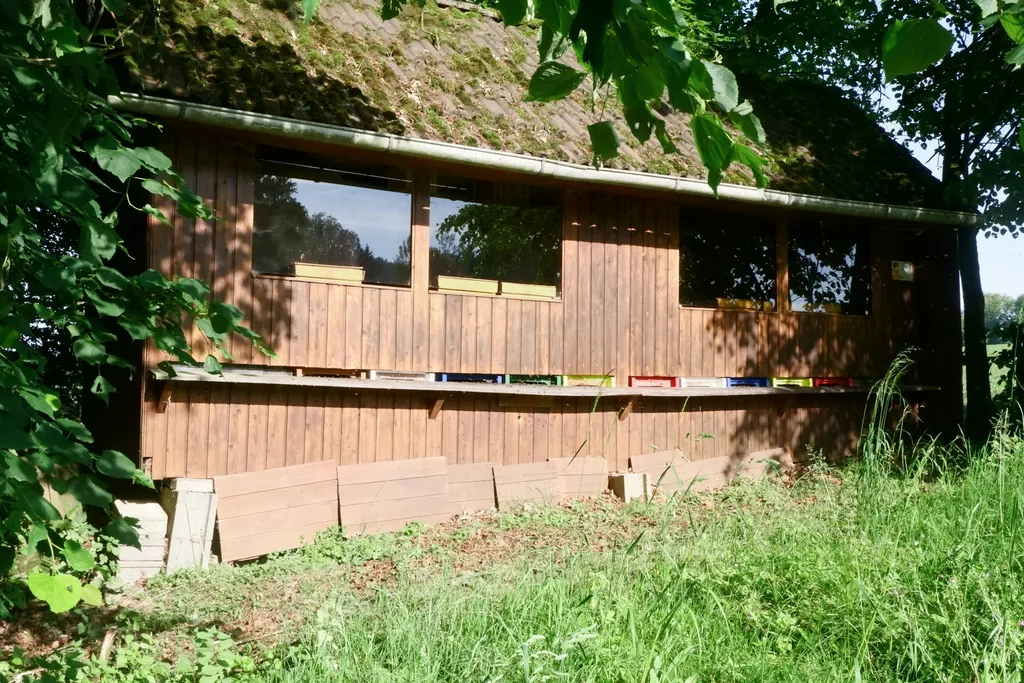 Holzplatz im Strudengau