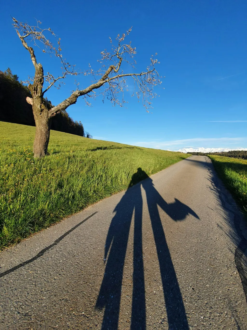 Profilbild von jolanda