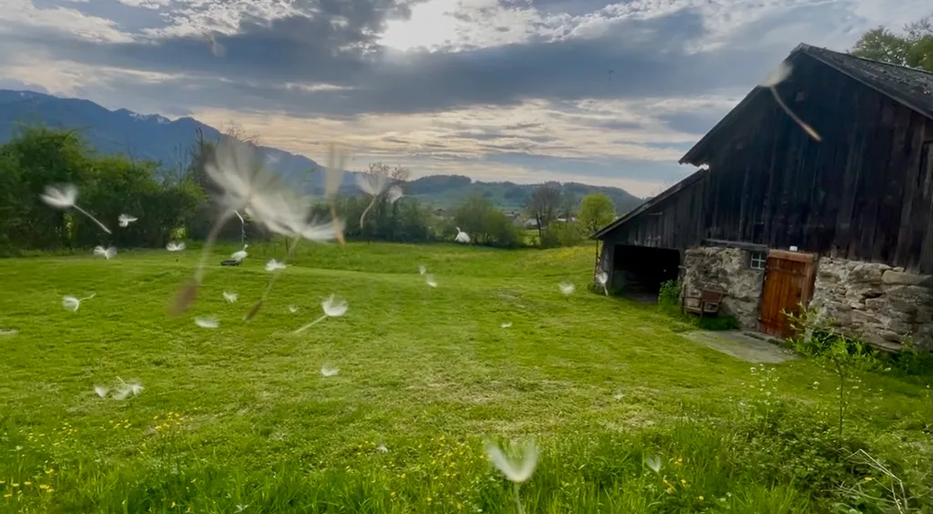 Hammerschlag: Ruhe trifft Natur