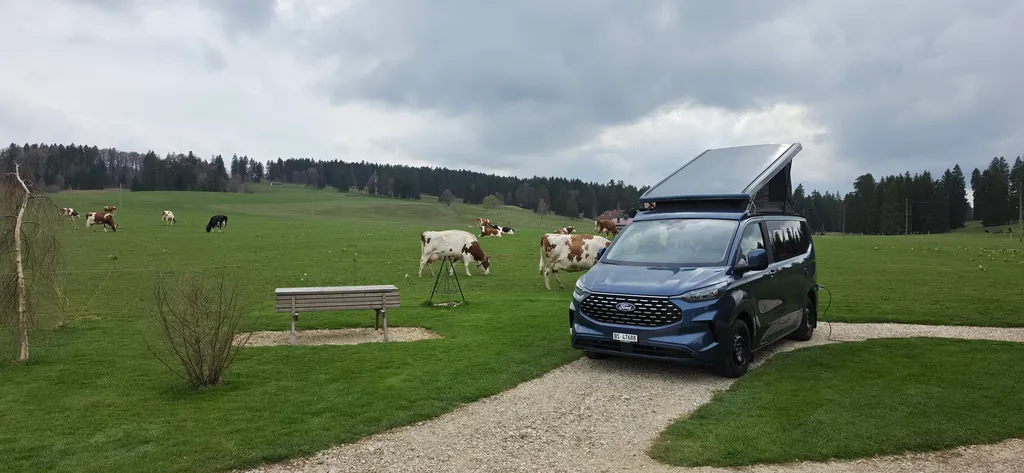 Bild von Thomas für den Spot 875