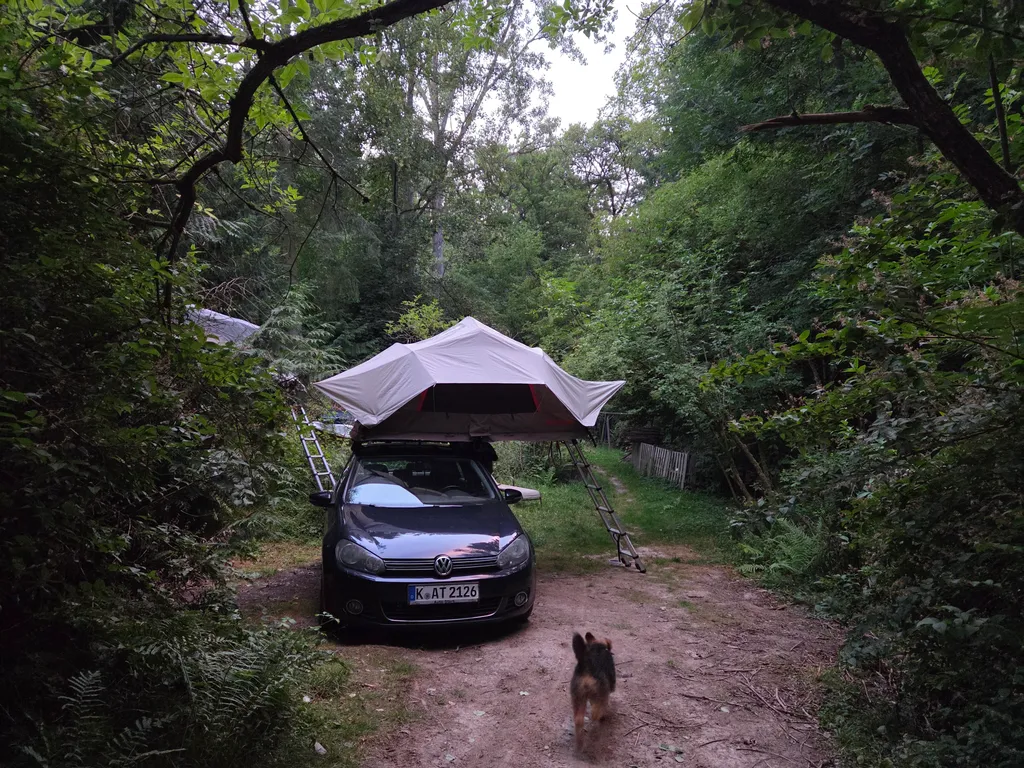 Bild von Alexandra für den Spot 2544