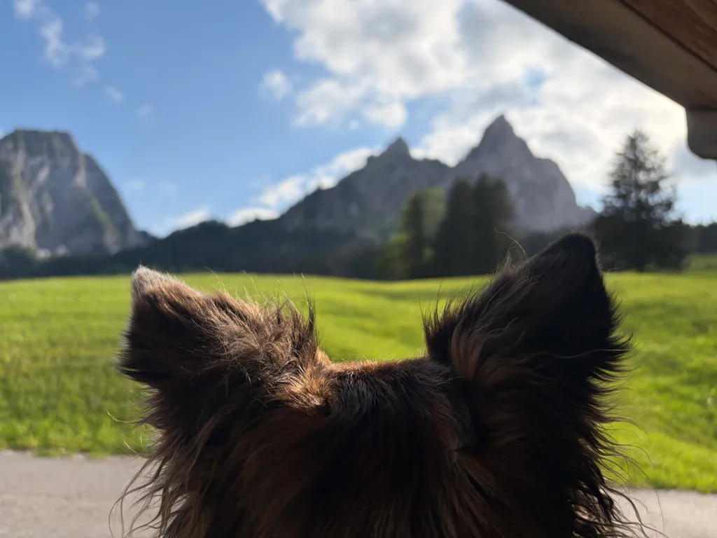 Bild von Lisa für den Spot 313
