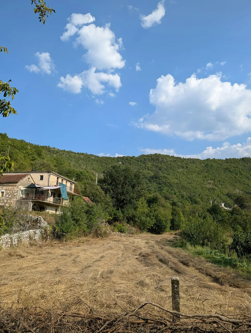 Kongora DOLAC
