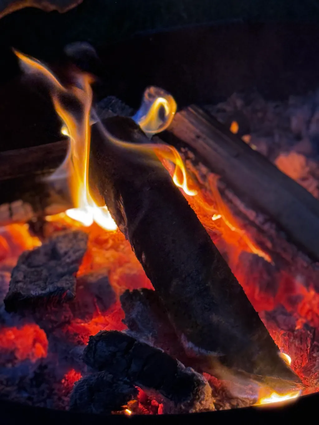 Bild von Raphael für den Spot 224