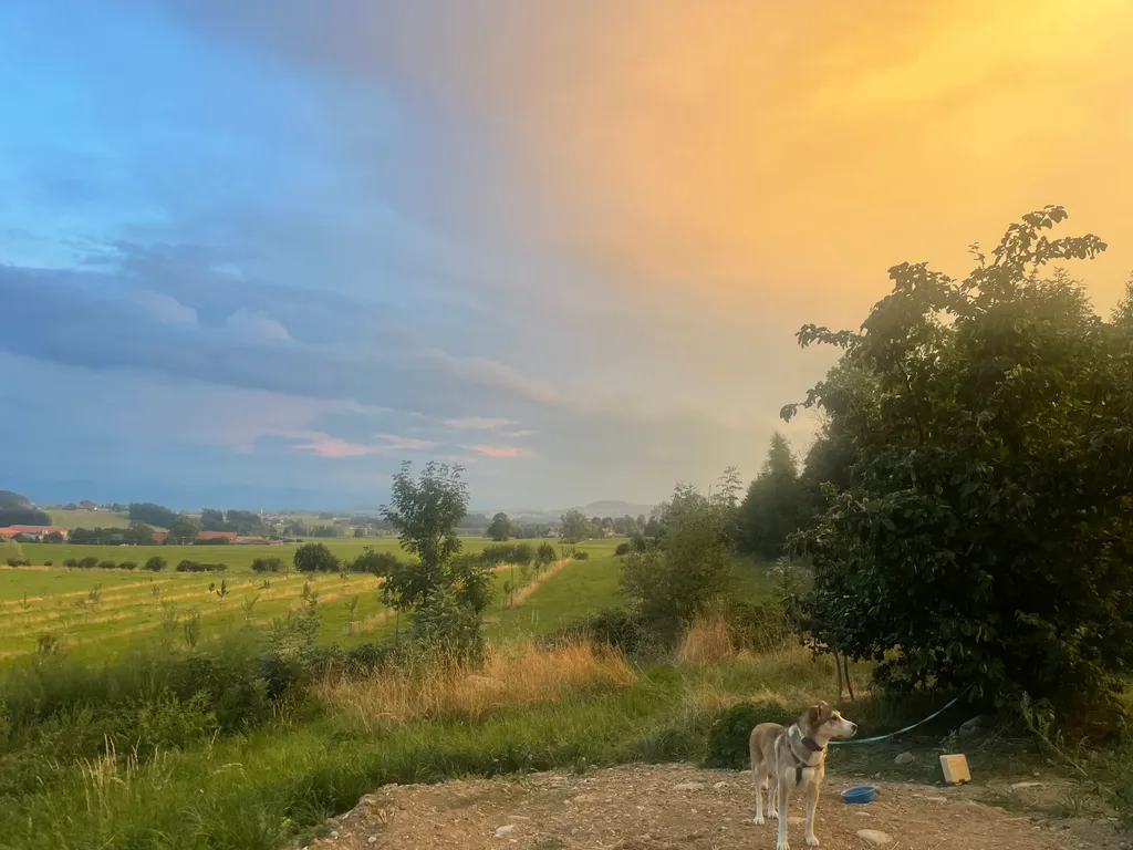 Bild von Lara für den Spot 1534