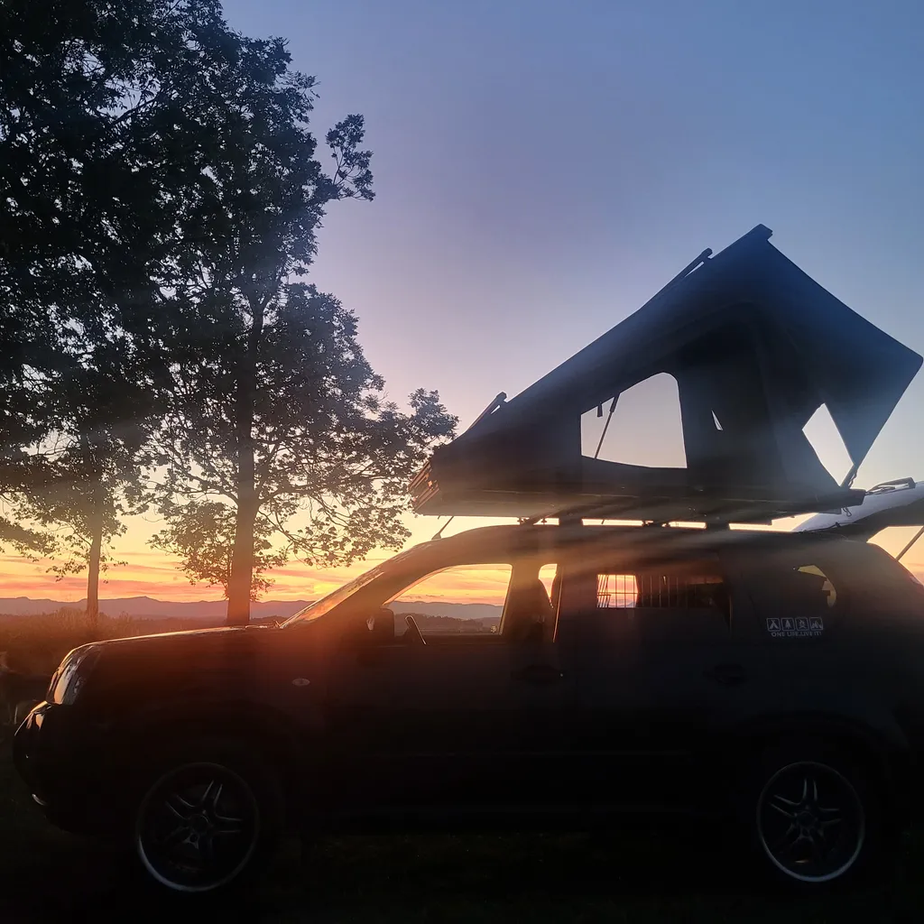 Profilbild von Daniela