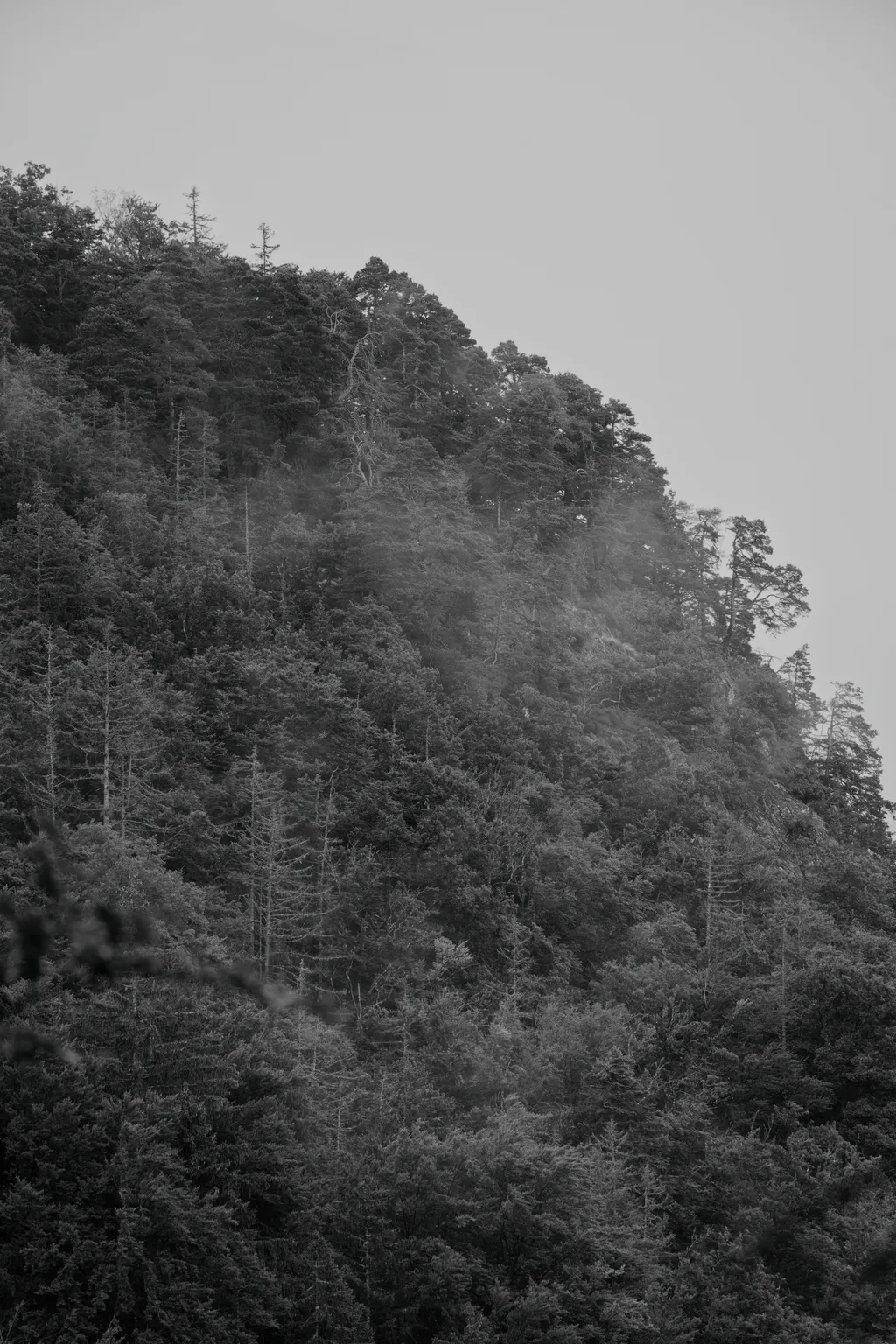 Bild von Steffen für den Spot 3998