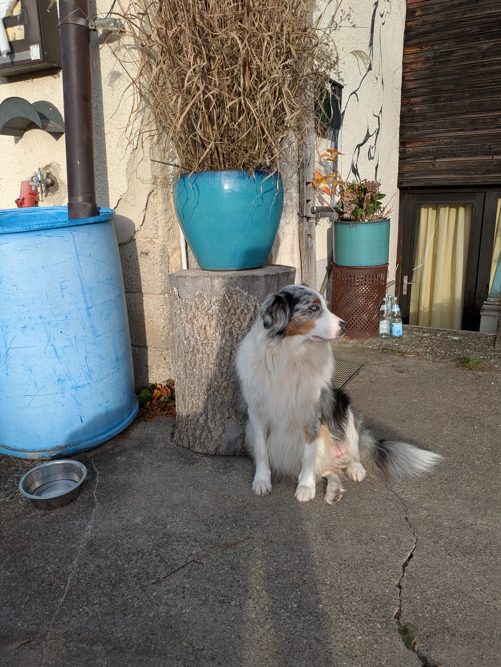 Bild von She-La für den Spot 1445