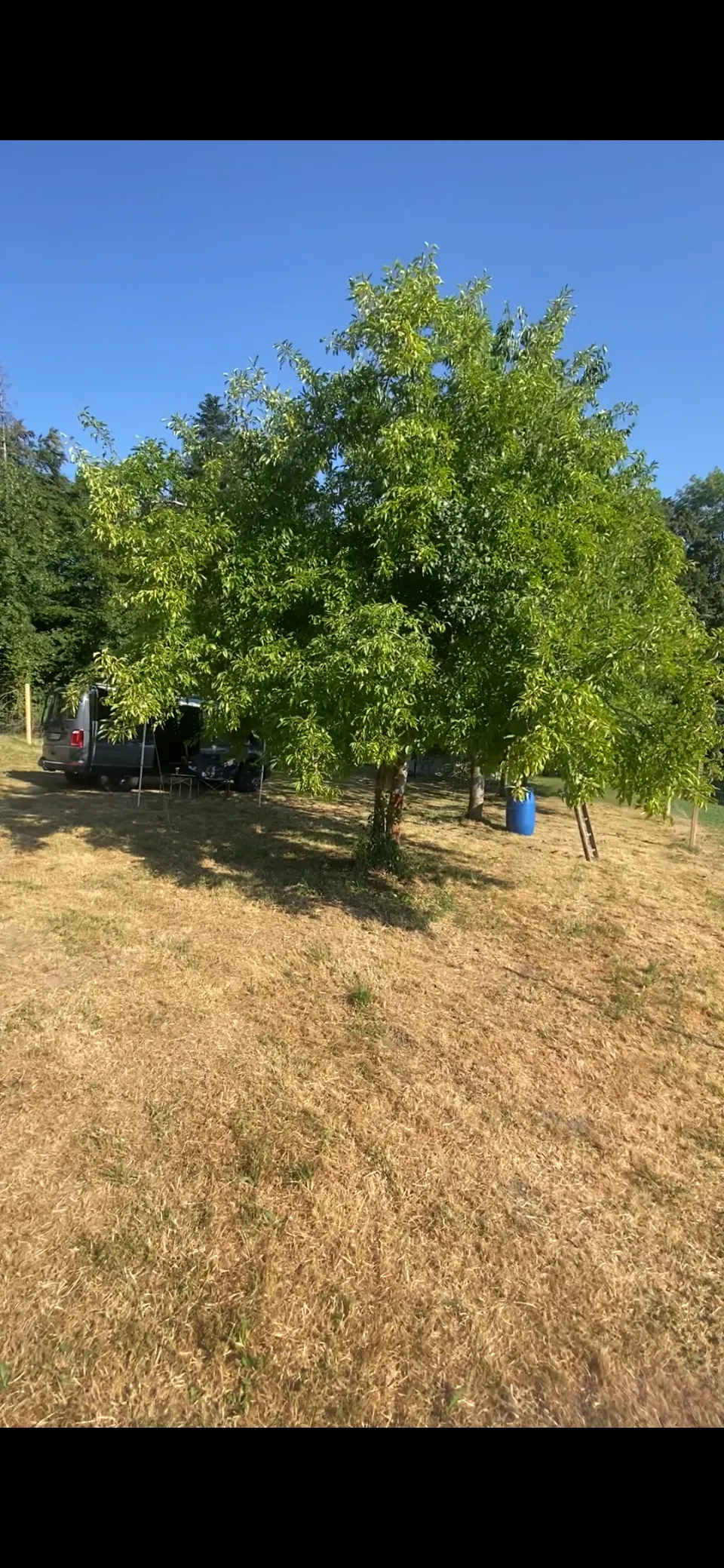 Seeblick & Idylle: Sicherer Wiesenstellplatz