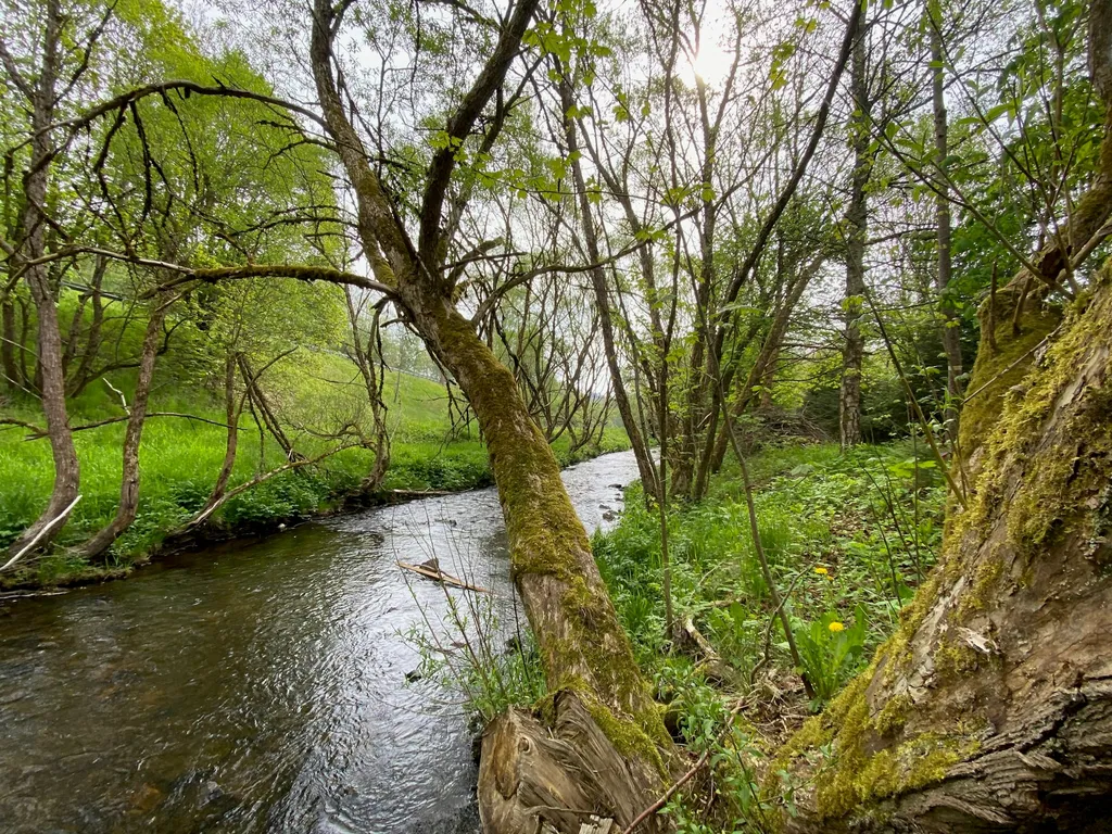 Alte Faktorei *in Sorge im* Harz