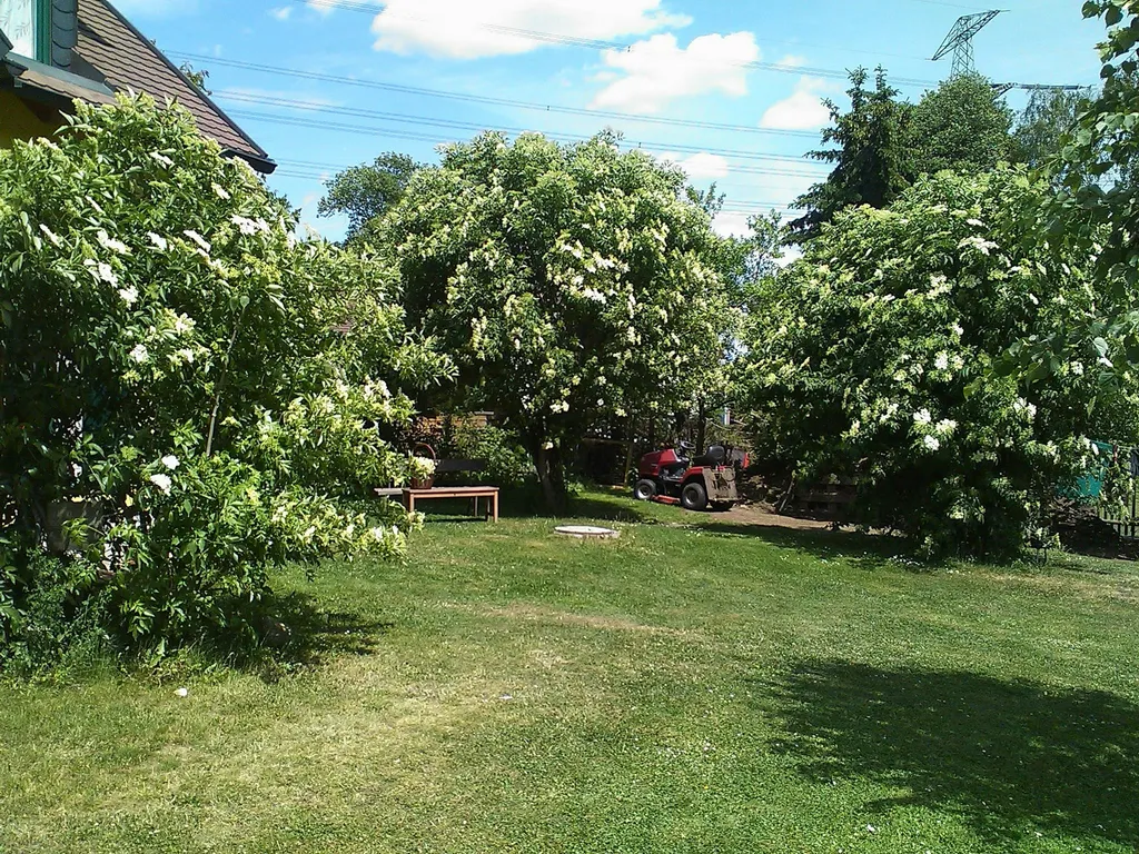 Sichere Wiese mit Naturteich