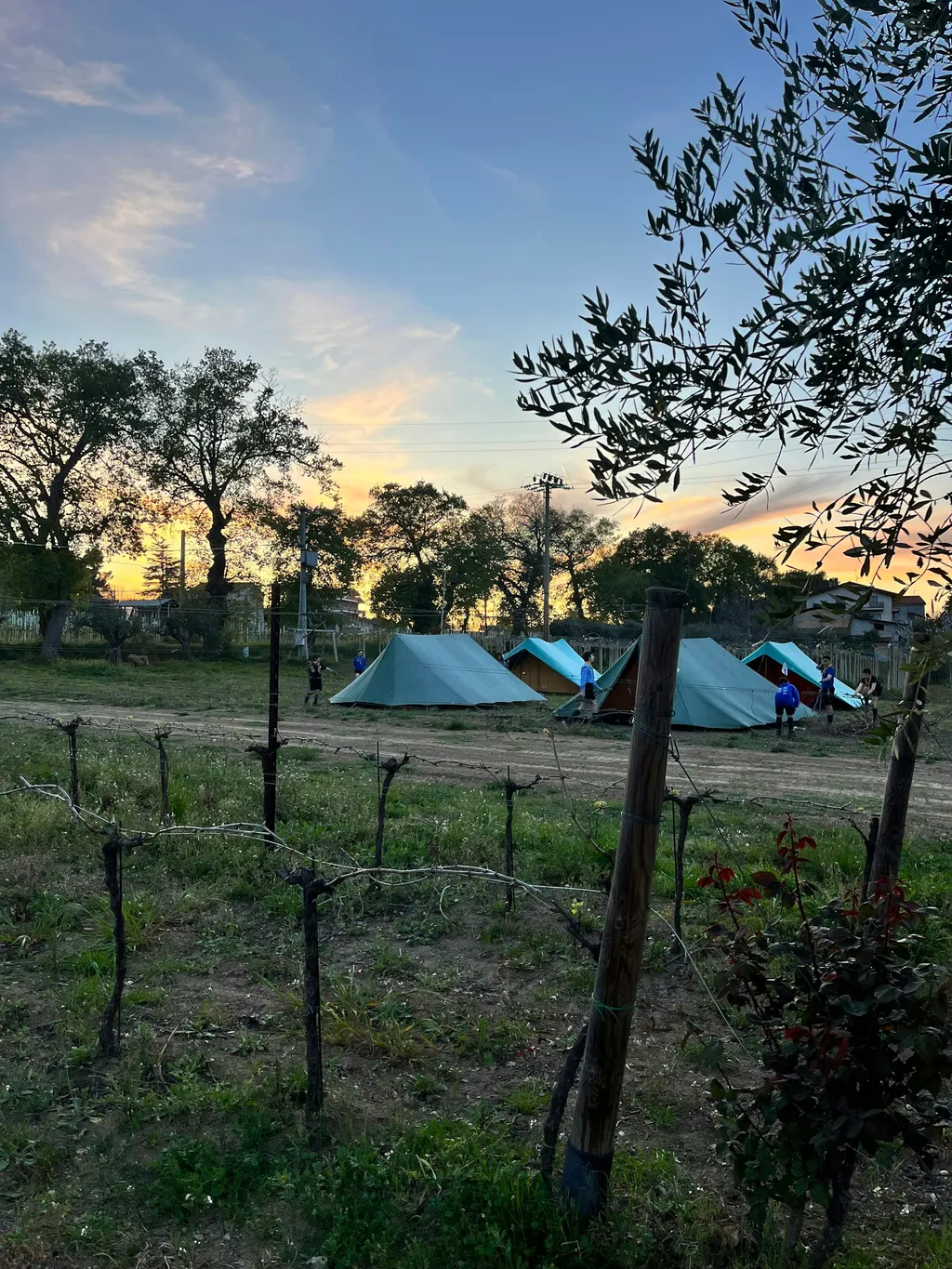 Cantina e Vigneti