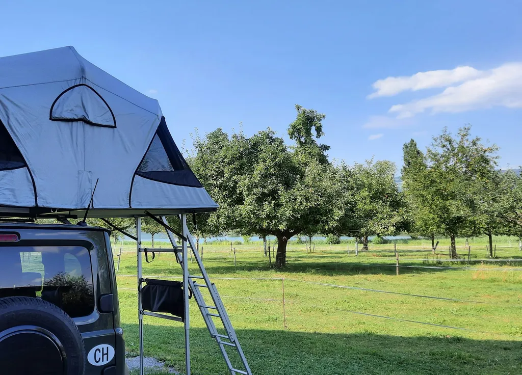 Profilbild von sylvia