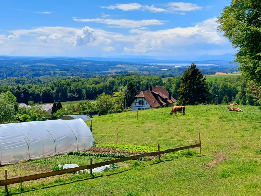 Aussichtshof am Waldrand