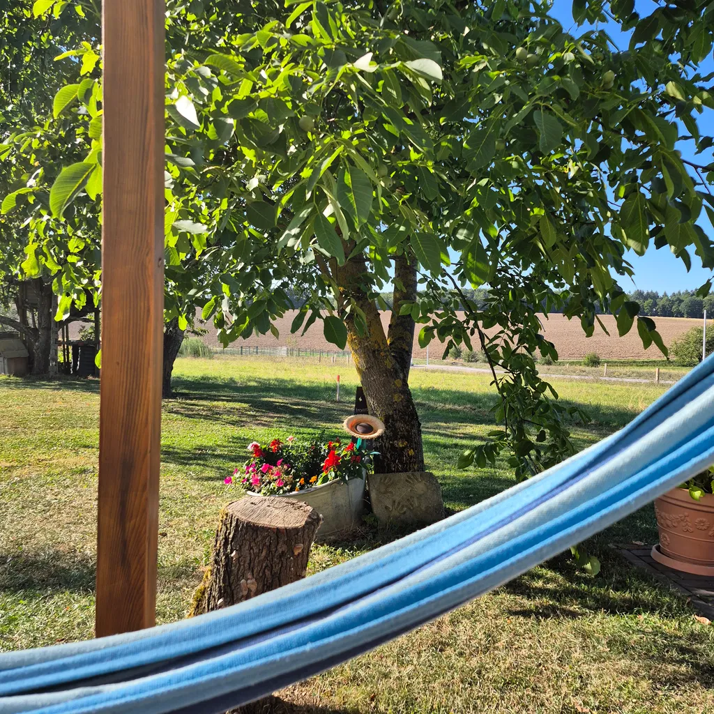 Ausblick vom Unterstand