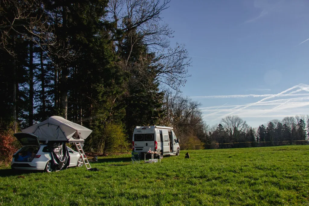 Lisière de forêt isolée aux Franches-Montagnes