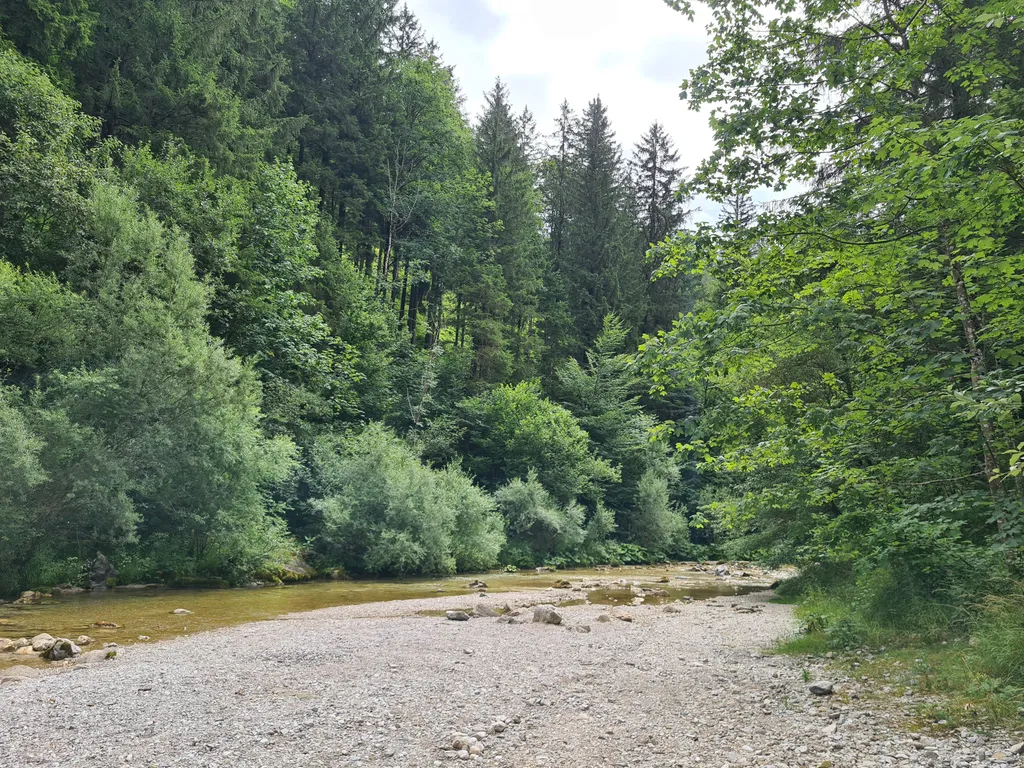 Schotterbank neben Stellplätzen (Erlauf)