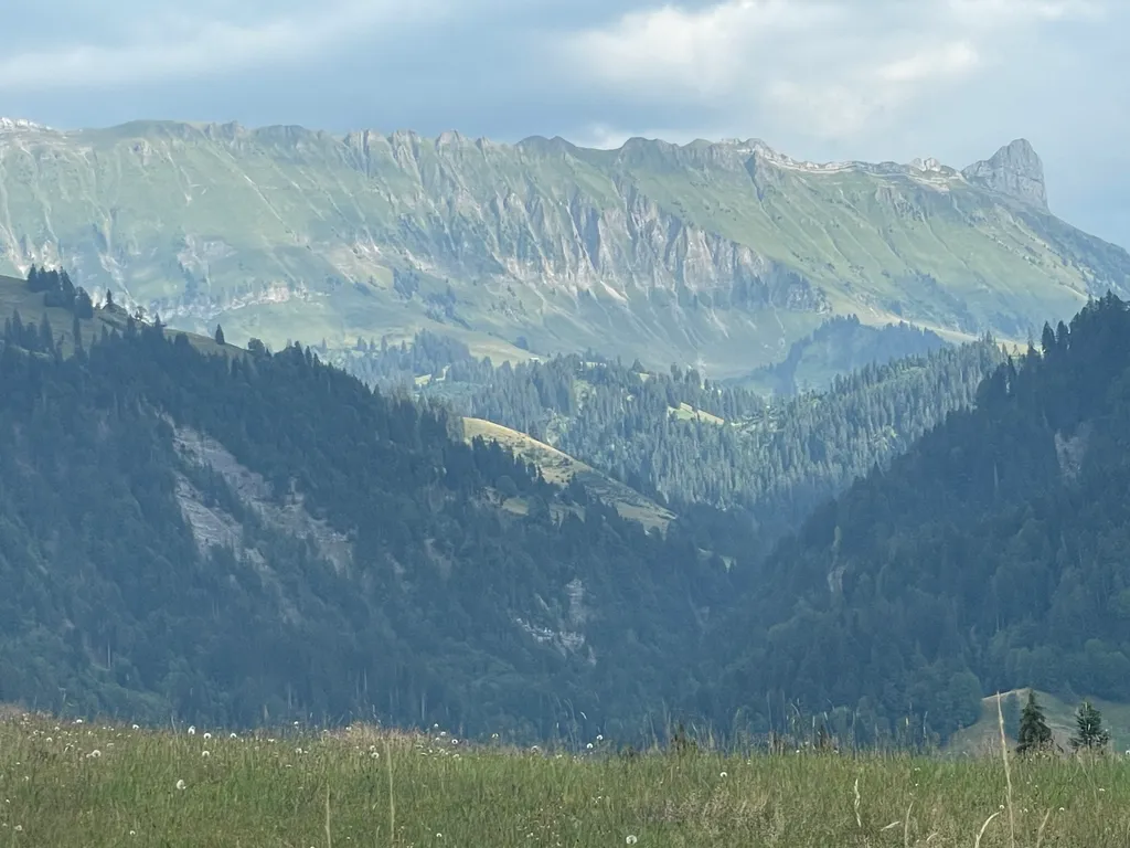 Bild von Peter für den Spot 811