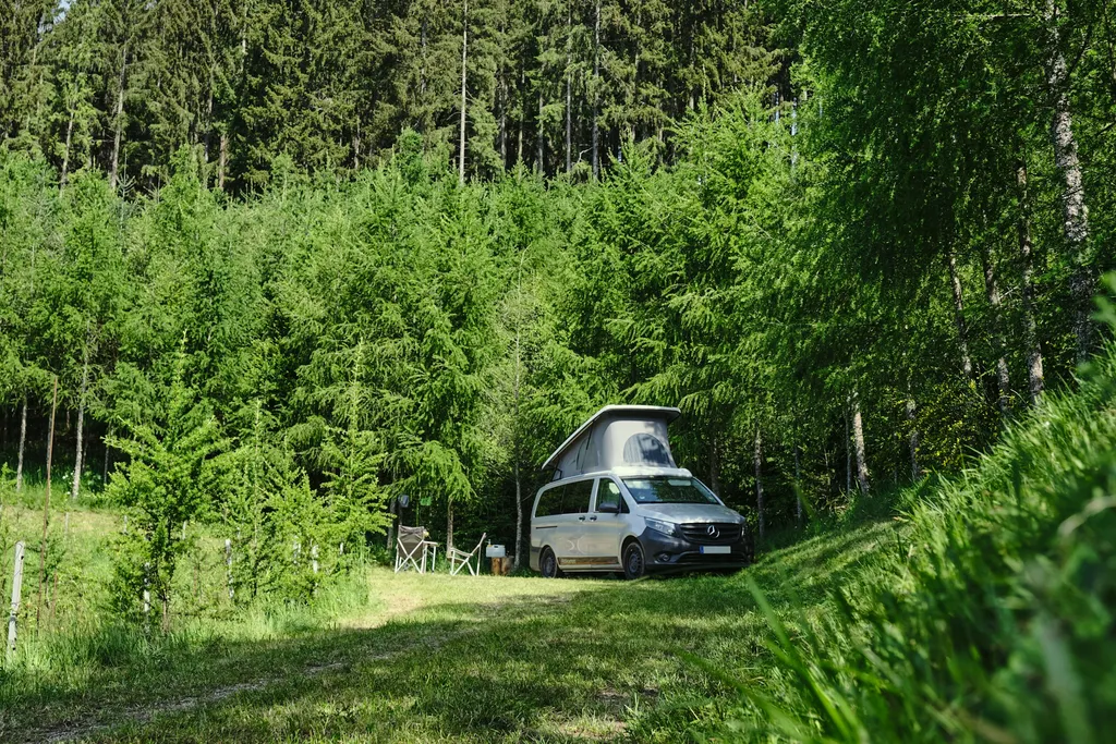 Rank - Beim Naturdenkmal 🌳Eiche🌳