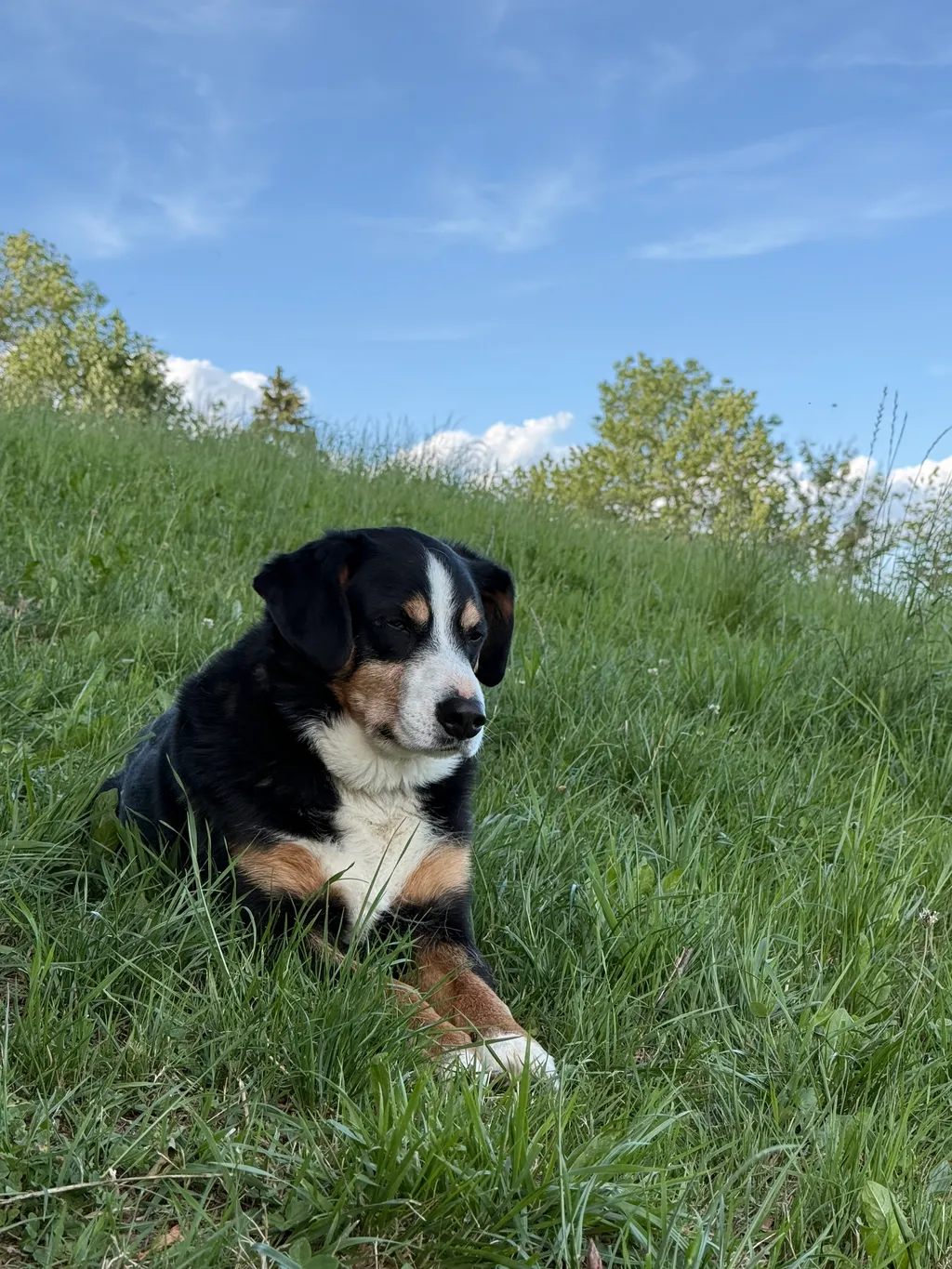Bild von Beatrice für den Spot 378