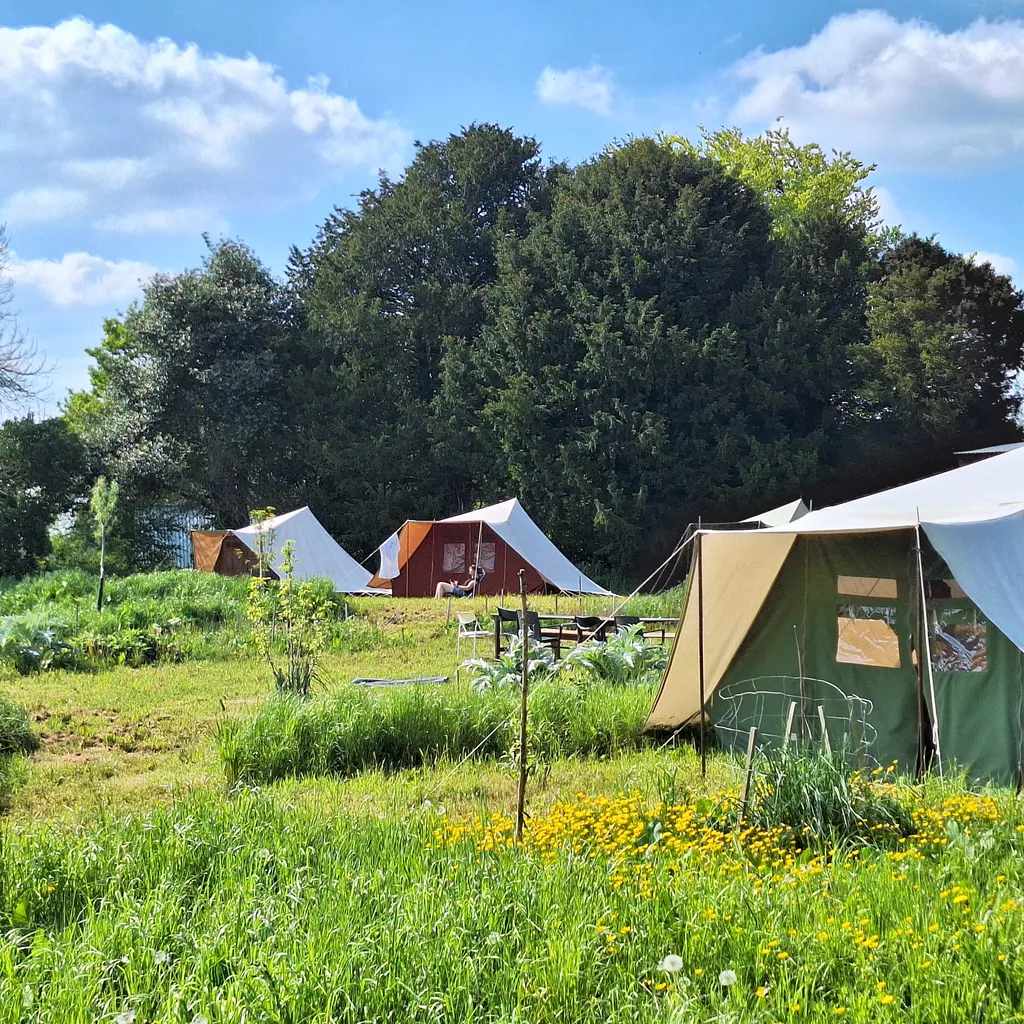 Rural micro farm with veggies for visitors