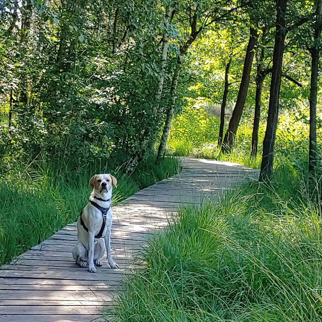 Foto del profilo di Daniel