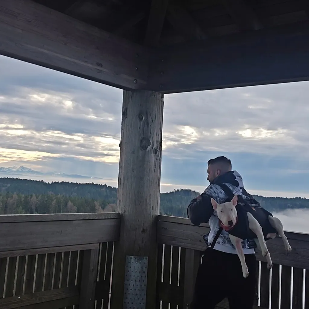 Profilbild von Marco